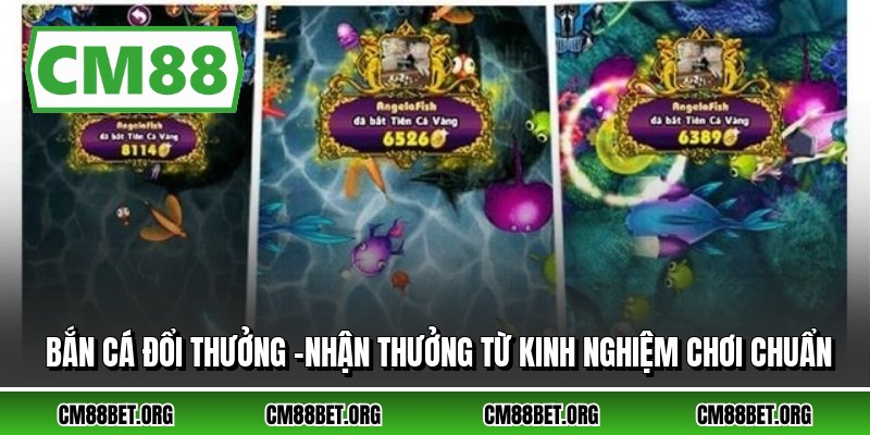 Bắn Cá Đổi Thưởng –Nhận Thưởng Từ Kinh Nghiệm Chơi Chuẩn