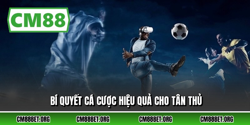 Bí quyết cá cược hiệu quả cho tân thủ