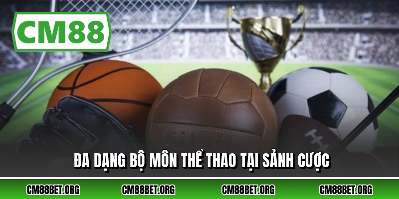 Đa dạng bộ môn thể thao tại sảnh cược