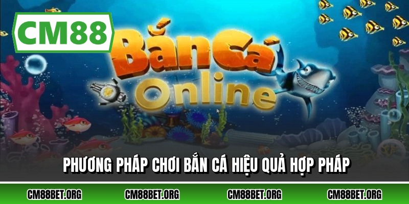 Phương pháp chơi bắn cá hiệu quả hợp pháp