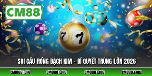 Soi Cầu Rồng Bạch Kim - Bí Quyết Trúng Lớn 2026