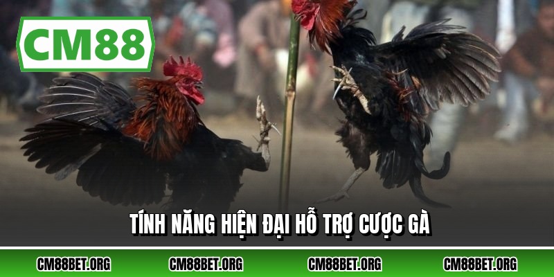 Tính năng hiện đại hỗ trợ cược gà