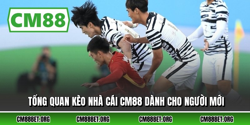 Tổng quan kèo nhà cái CM88 dành cho người mới